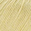 Concept Cotton-Cashmere 5ply